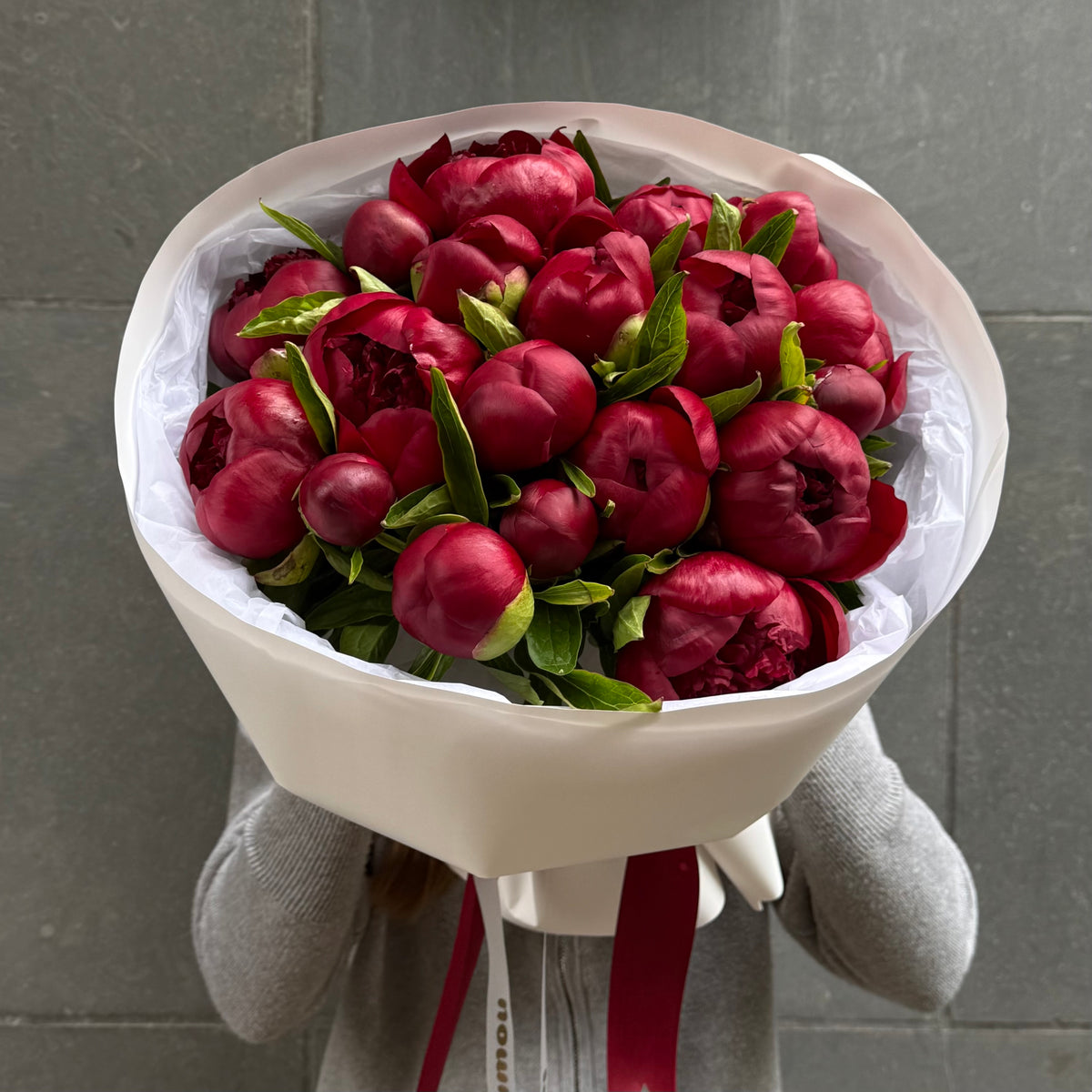 20 Burgundy Peonies