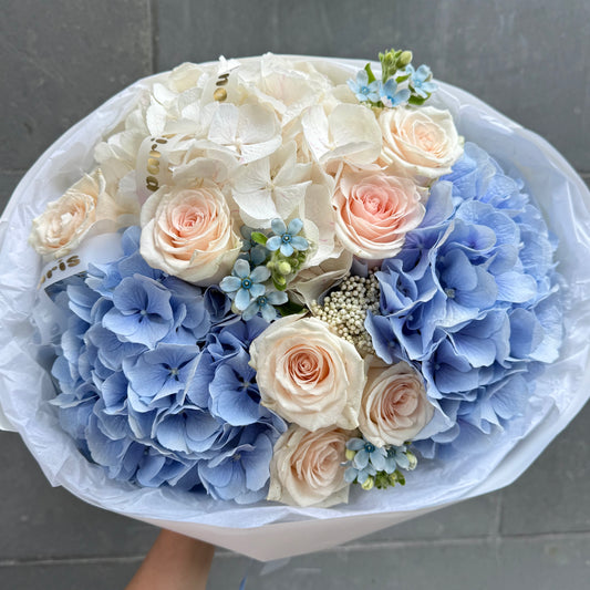 Bleu bébé x blanc