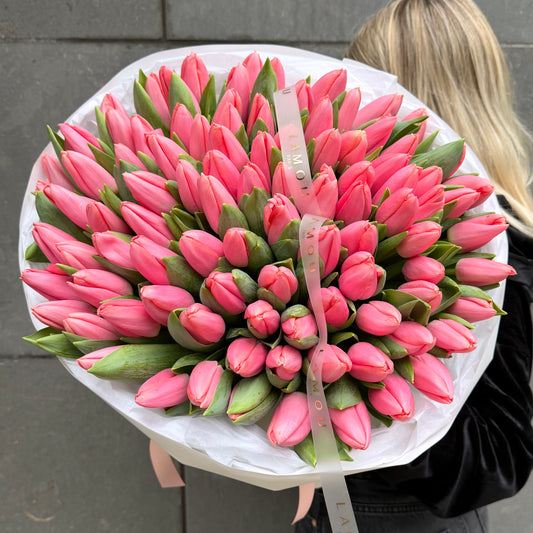 100 Pink Tulip