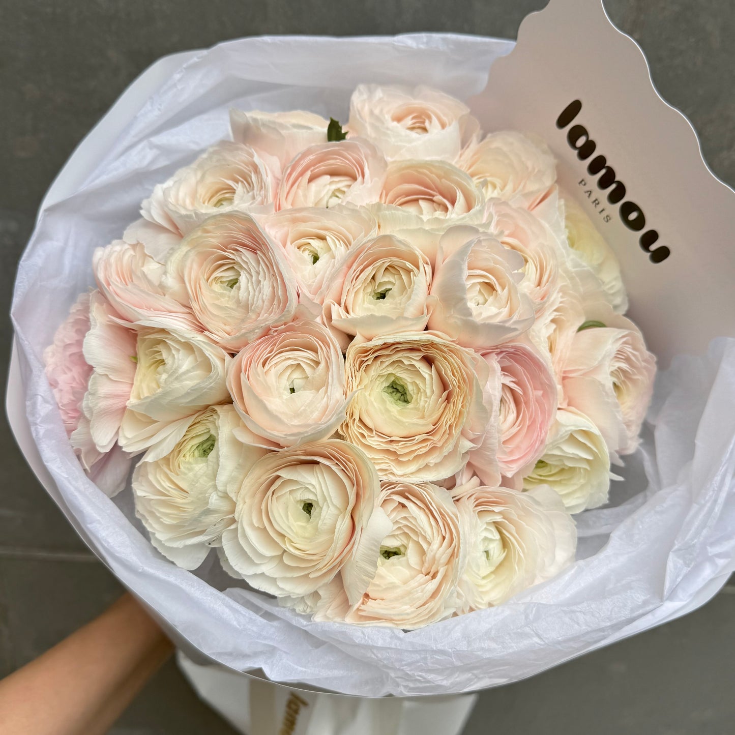 25 renoncules Hanoï