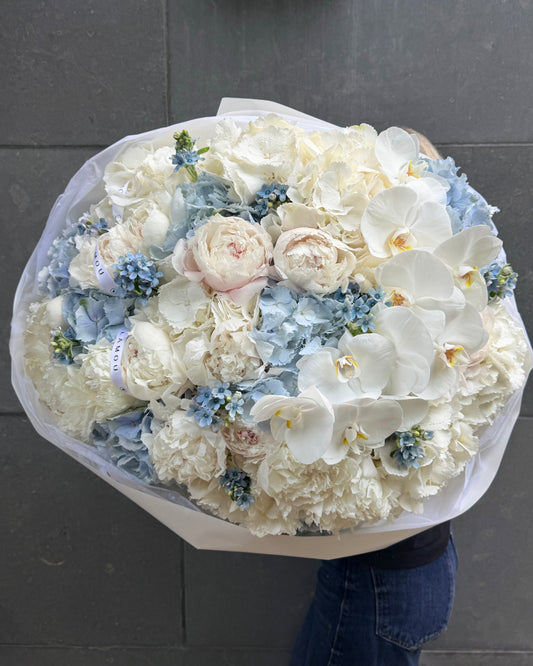 White x Blue Cloud XXL