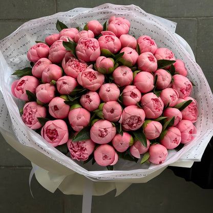 50 Peonies “Etched Salmon”