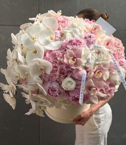 Pinky White Box XL