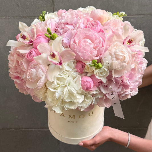Pinky White Box S