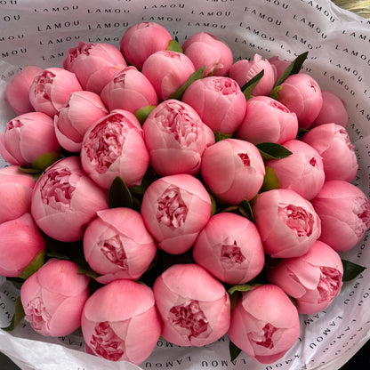 39 pivoines « Etched Salmon »