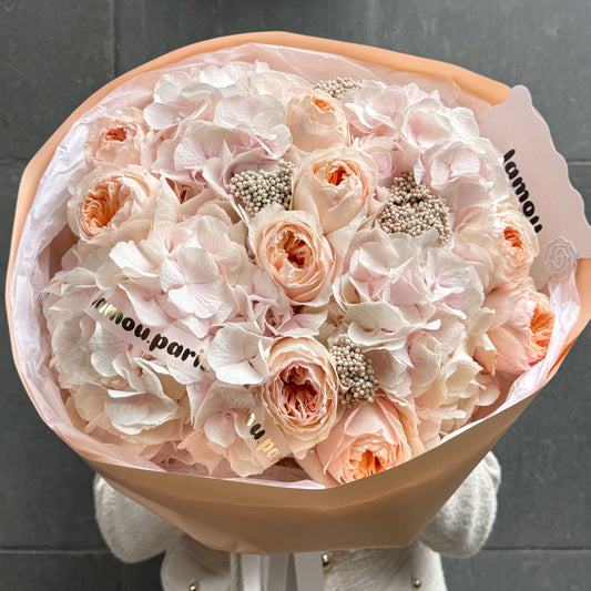 Blush Hydrangeas x Juliet