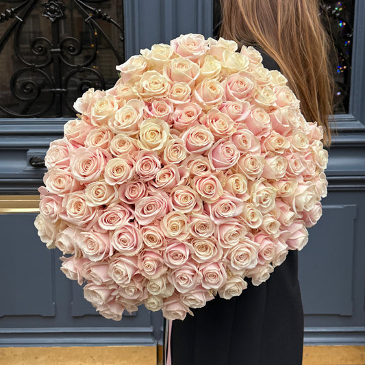 101 Blush Pink Roses