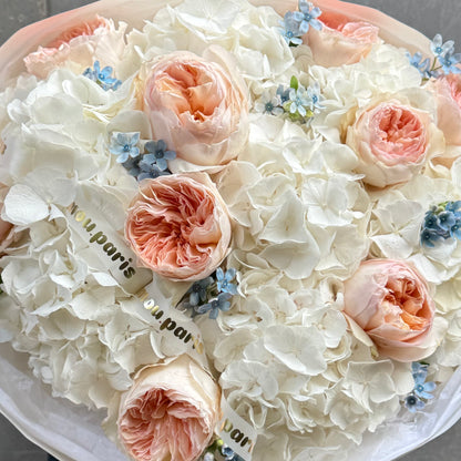 White Hydrangeas x Juliet L