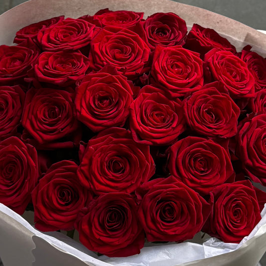 20 Red Premium Roses