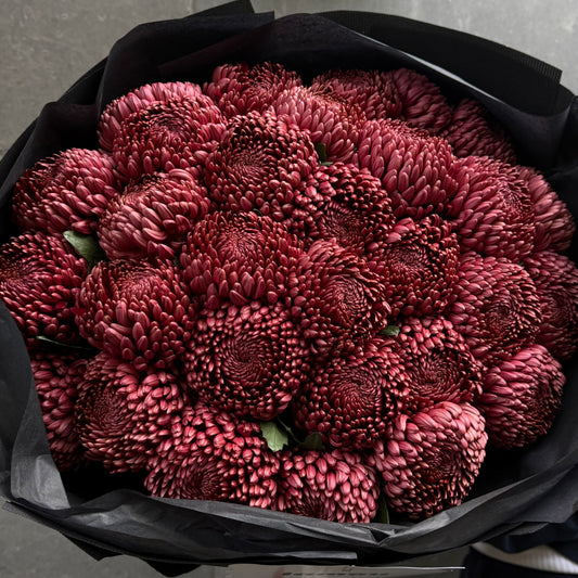Chrysanthemum Premium Red
