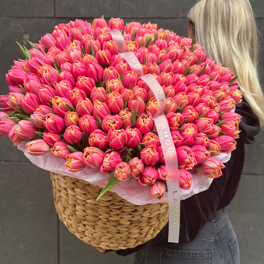201 Tulip Columbus Basket XL
