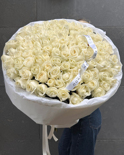 101 roses blanches