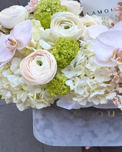 Boîte ovale Spring Touch L