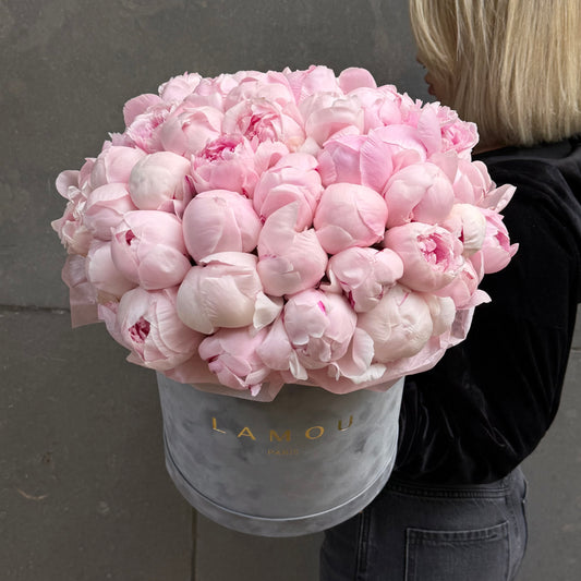 51 Pink Peonies Box L
