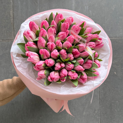 50 tulipes roses