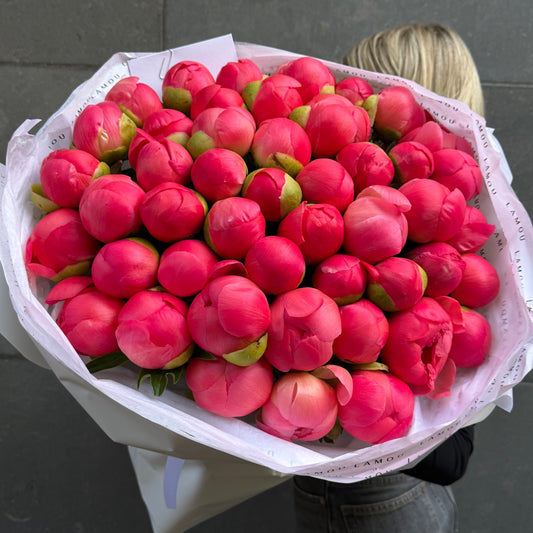 45 Coral Peonies