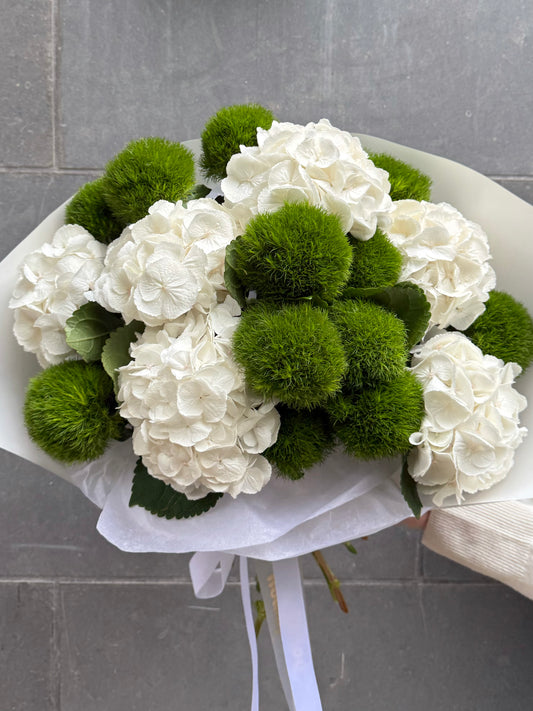 Hydrangeas x Kiwi