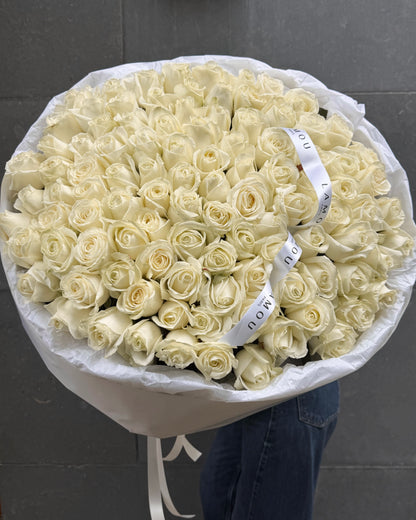 101 roses blanches