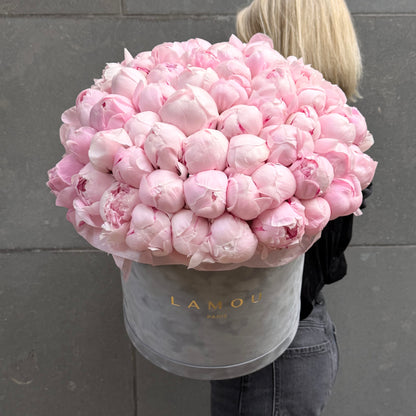 101 Pink Peonies Box XL