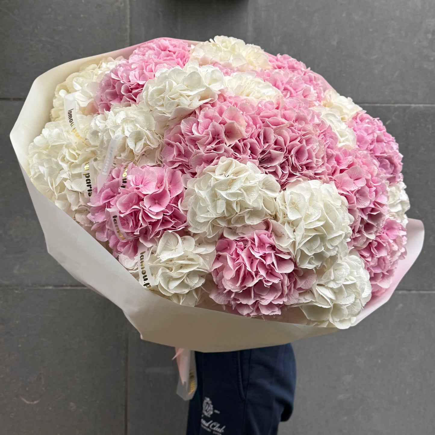 Hydrangeas Heaven