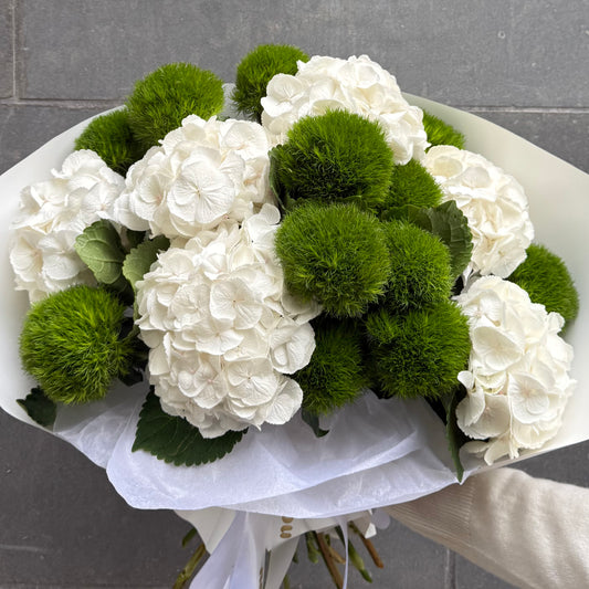 Hydrangeas x Kiwi