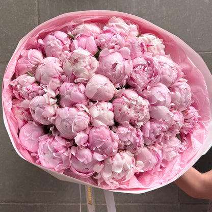 51 pivoines roses