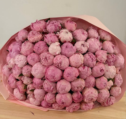 71 Pink Peonies