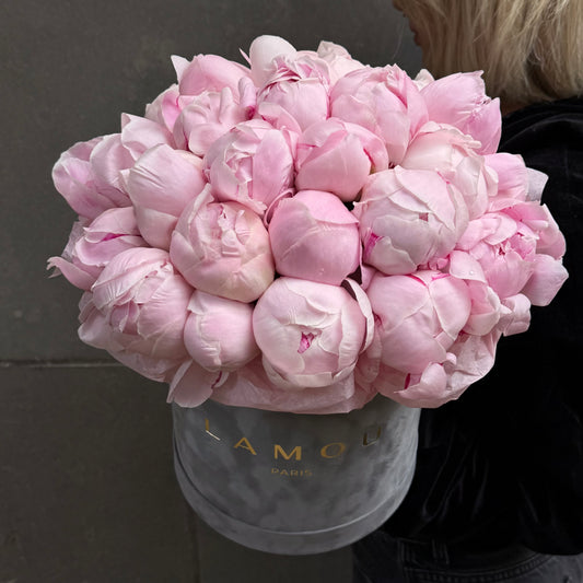 30 Pink Peonies Box M