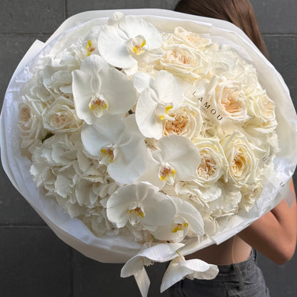 Nuage d’Orchidée Blanc L