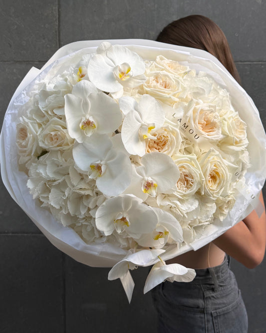 Nuage d’Orchidée Blanc L