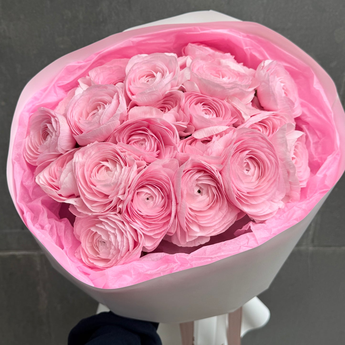 25 Pink Ranunculuses