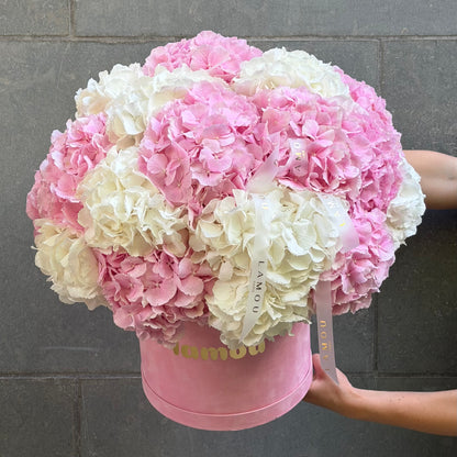 Hydrangeas Box M