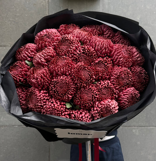 Chrysanthemum Premium Red