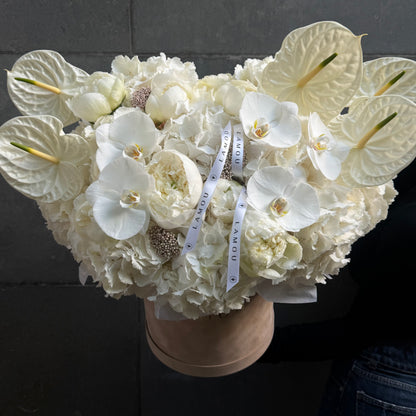 White Elegance Box M