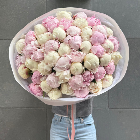 51 White x Pink Peonies