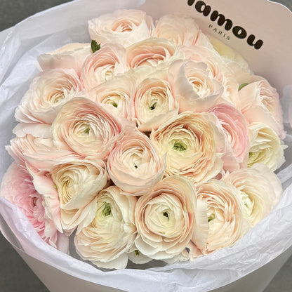 25 renoncules Hanoï