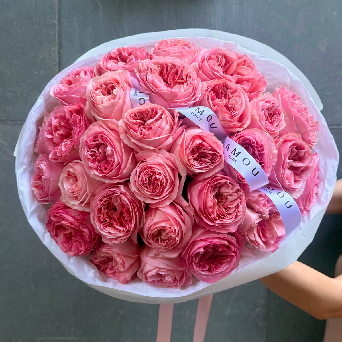 30 Pink Peony Roses