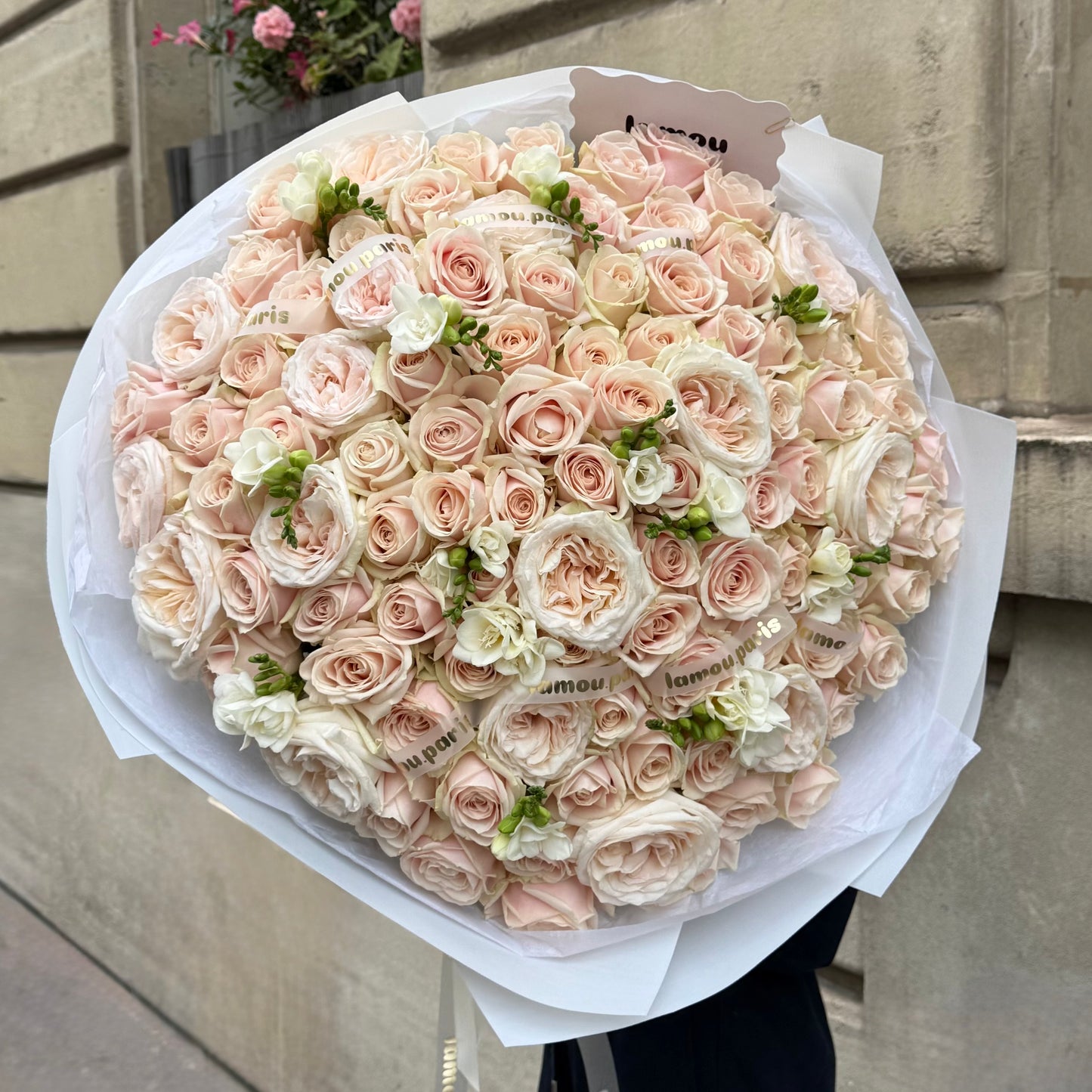 Blush Symphony
