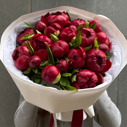 20 Deep Red Peonies