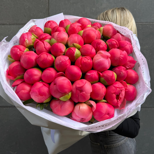 45 Coral Peonies