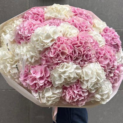 Hydrangeas Heaven