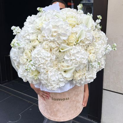 White Elegance in a Velvet Box XL
