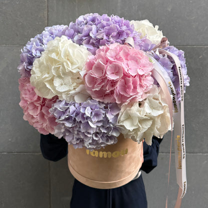 Unicorn Hydrangeas in a Box L
