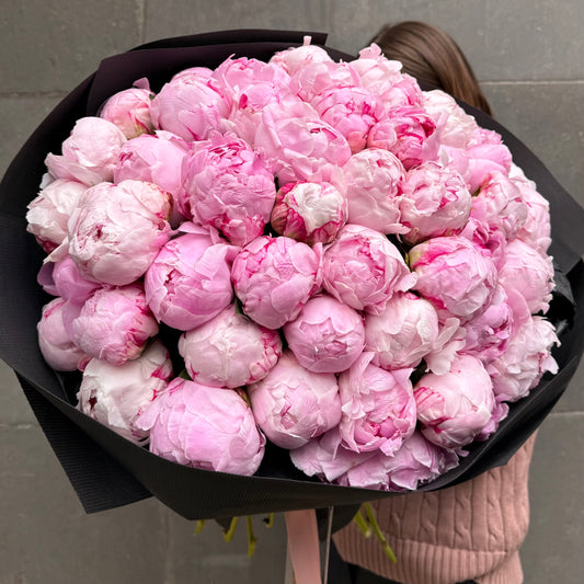 51 Pink Peonies