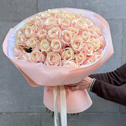 51 Blush Classic Roses