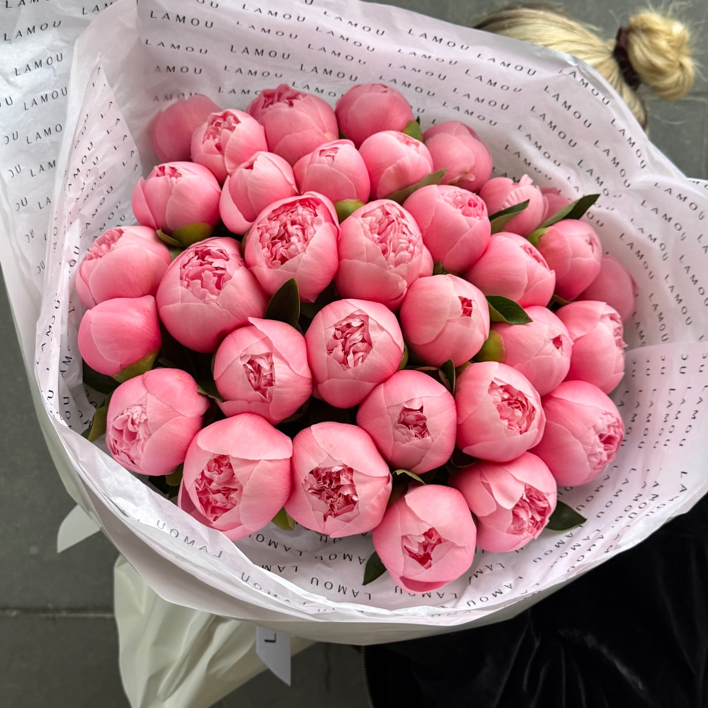 39 pivoines « Etched Salmon »