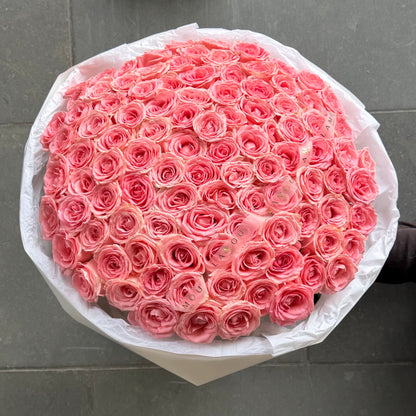 101 Pink Roses