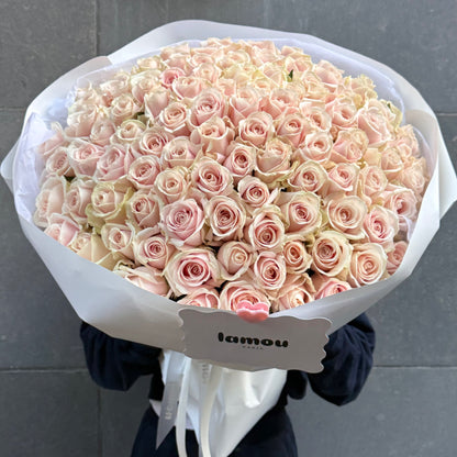 101 roses rose blush