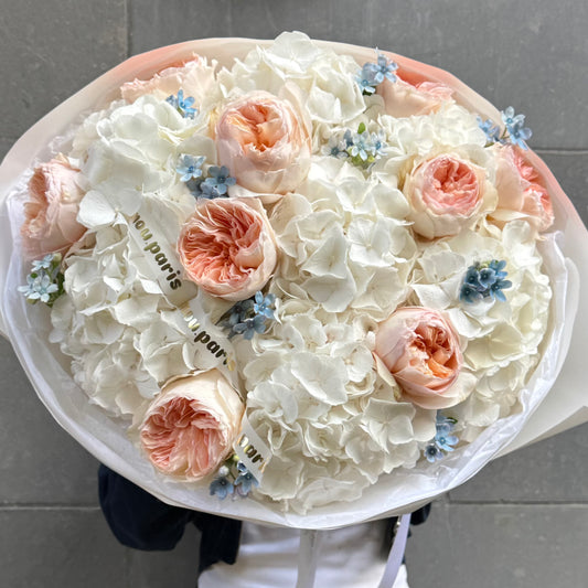 White Hydrangeas x Juliet L