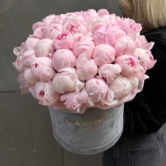 51 Pink Peonies Box L